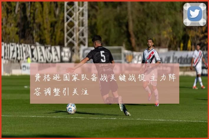 费格逊国家队备战关键战役 主力阵容调整引关注