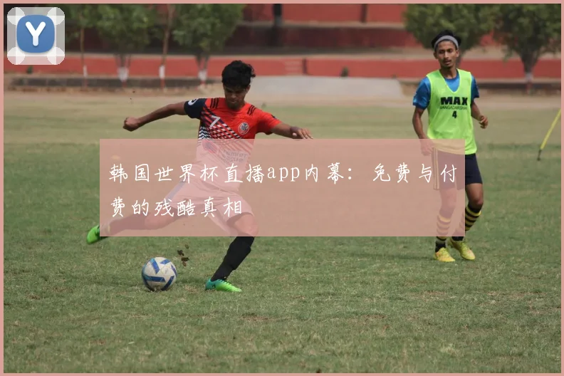 韩国世界杯直播app内幕：免费与付费的残酷真相